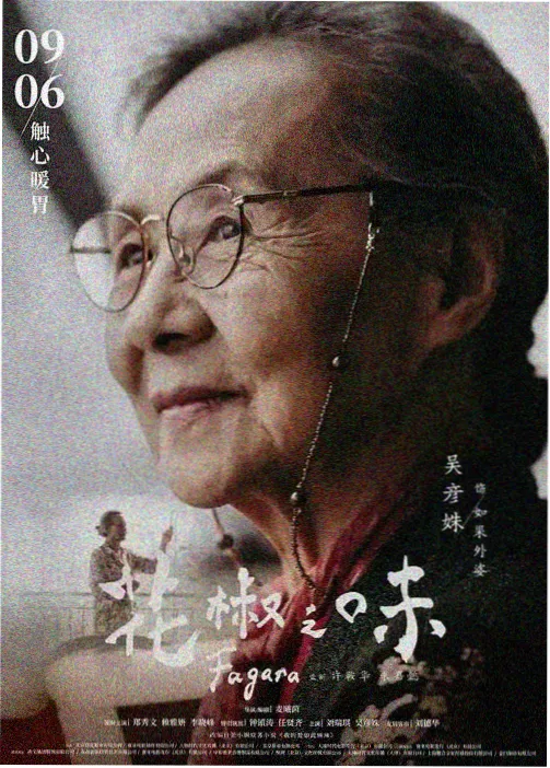 中国动漫集团有限公司武侠剧集铜匣记缩略封面